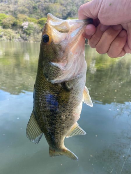 午前中ボート釣行！