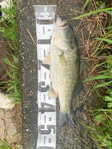 たくさん釣れました！！