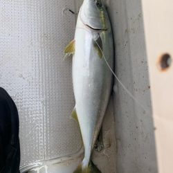 一年ぶりのジギング！