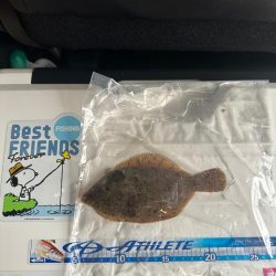 花見🌸カレイ狙い