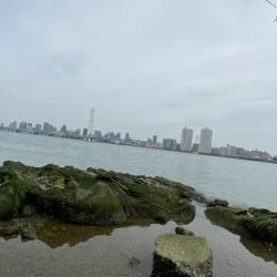 淀川でチニング