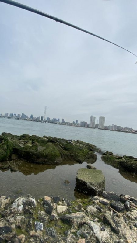 淀川でチニング