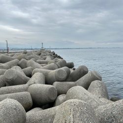 魚津港 フカセ釣り