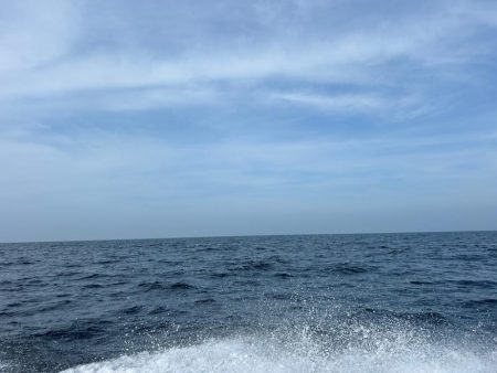 念願の中型青物