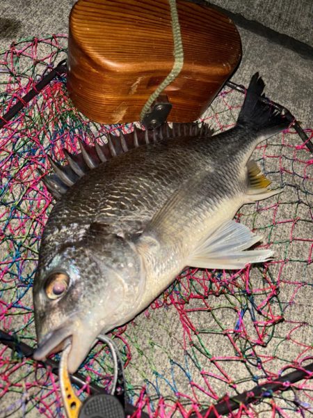 ヘチってきました