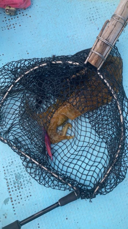 タイラバ＆ティップラン