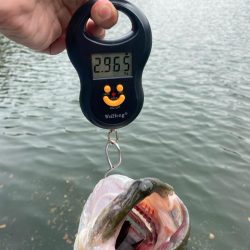 午後からボート釣行!