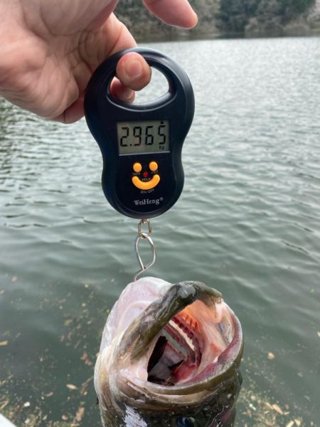 午後からボート釣行!