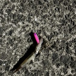 ライトゲームの新メソッド