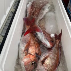 ディープ鯛ラバ