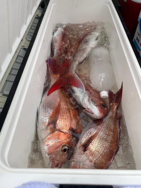 ディープ鯛ラバ