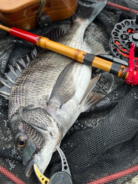 ヘチってきました