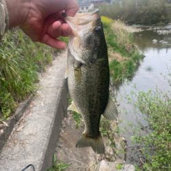 またまた早朝に