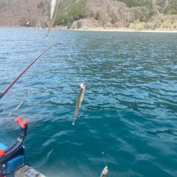 ヒメマス&わかさぎ釣り