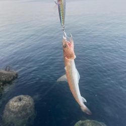 ショアジギング