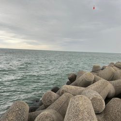 魚津港 フカセ釣り