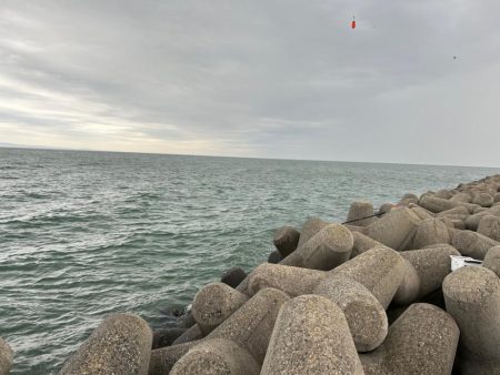 魚津港 フカセ釣り