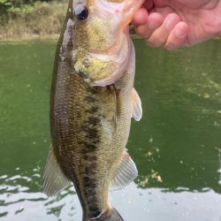 1日ボート釣行！