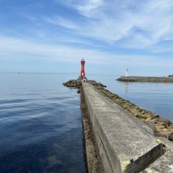 花見🌸カレイ狙い