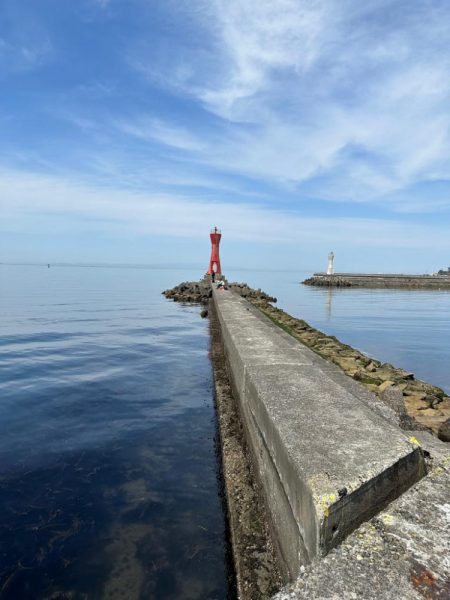 花見🌸カレイ狙い