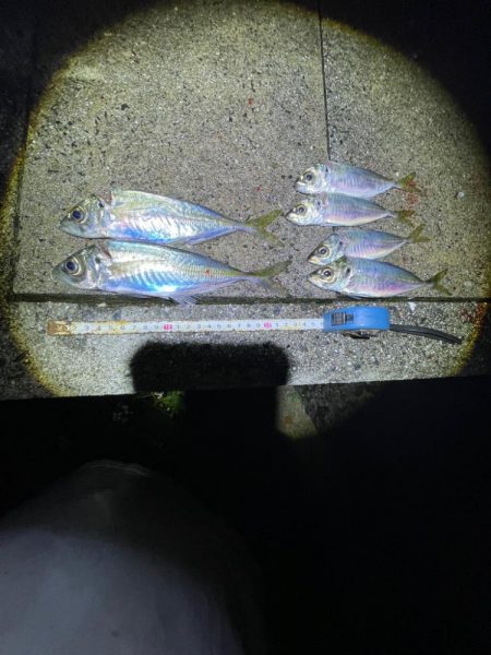 遠投サビキ‼️…