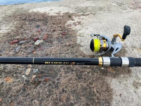 今シーズン初釣り、初釣果!