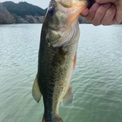 午前中ボート釣行！