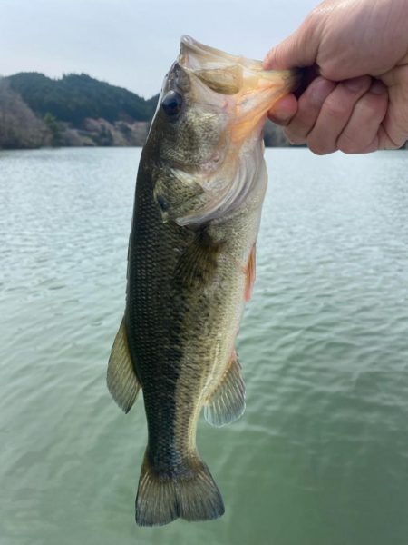 午前中ボート釣行！