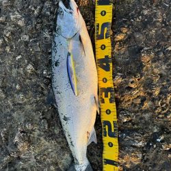 ただいま！北海道