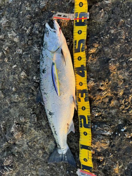 ただいま！北海道