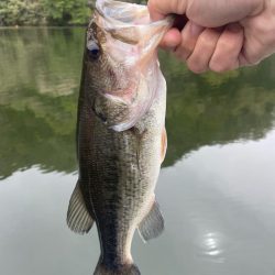 1日ボート釣行！