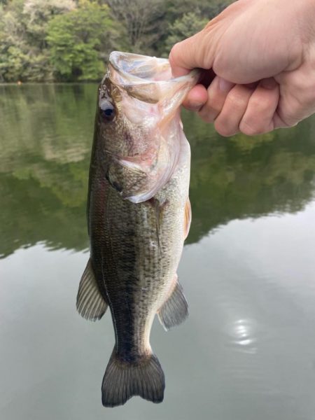 1日ボート釣行！