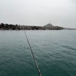 【鳥取港】船で近海アジ釣り｜雨の中諦めかけた時にデカアジ爆裂！！