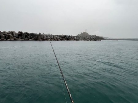 【鳥取港】船で近海アジ釣り｜雨の中諦めかけた時にデカアジ爆裂！！