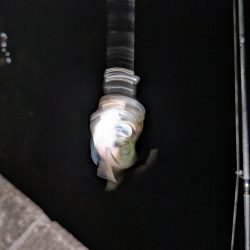 この時期に！？