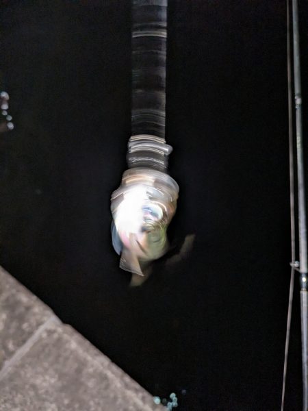 この時期に！？