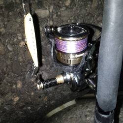 終了間際のライズ