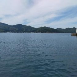 春のサゴシ祭り