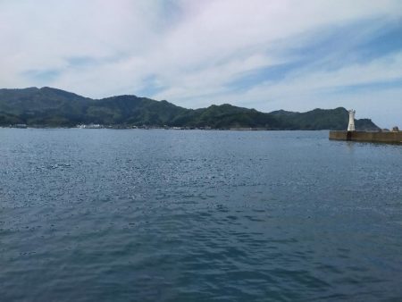 春のサゴシ祭り