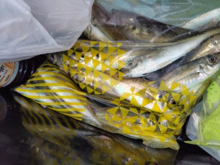 狙って釣れると嬉し！