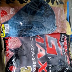 和歌山市江（吉丸渡船）で磯フカセ