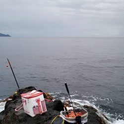和歌山大引の磯でフカセ釣り
