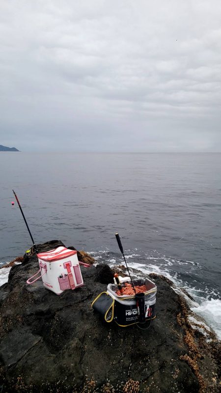 和歌山大引の磯でフカセ釣り
