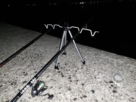 残業してなんとか2匹