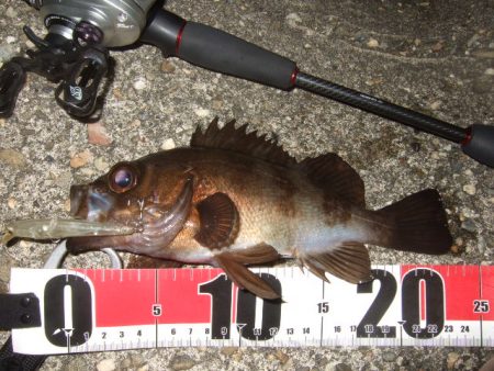 ベストシーズン到来