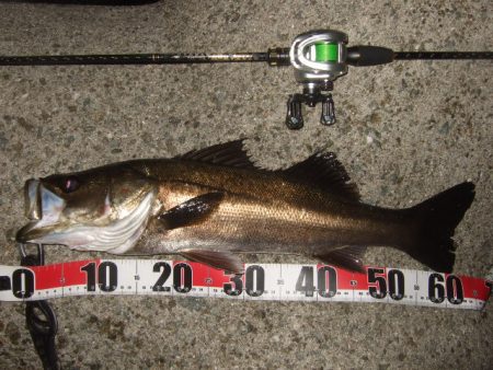 バチパターンからの変化