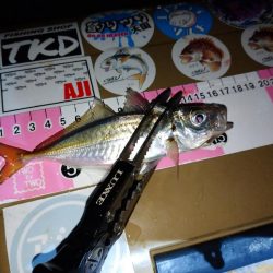 今夜もご近所アジング