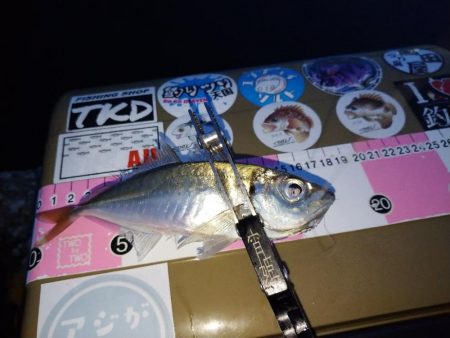 地元春アジ開幕2連勝