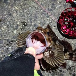 2024/04/10 舞洲方面ヘチ釣り釣行