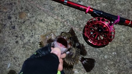 2024/04/14 南港ヘチ釣り釣行